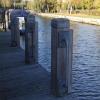 Lock cut mooring posts by PeterScott – 27 October 2018