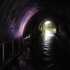 Newbold Tunnel (looking South) by David Willcocks – August 2008