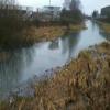 End of Navigation Ridgacre Canal by Wafflingdwarf – 2014