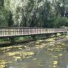 Bridge No 49a by Mike and Ethel Cummins – 29 August 2016