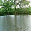 Salwick Hall Winding Hole by Clive and Fran Dutson – 4 June 2012