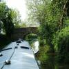 Enjoying a bit of shade by Goodacres Bridge No 13 by Jo Pettigrew – 11 May 2008