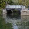 This is the river Ock, not the canal junction, contrary to the sign by Dick Skeet – 19 October 2003