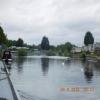 Evesham Lock Weir Exit by Tyson – 24 June 2023