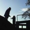 Bright, late December sunshine - towards Grindley Brook by PIG and PINEAPPLE – 21 December 2003