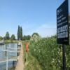 Torksey Lock Lincoln Side Visitor Moorings by graham and linda – 11 May 2025