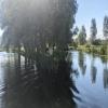 Peartree farm visitor mooring by graham and linda – 21 July 2024